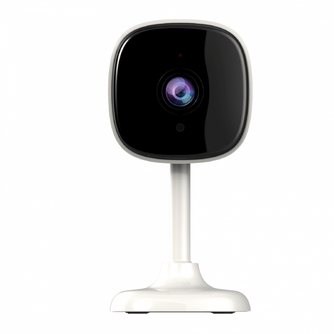 CTV-HomeCam mini