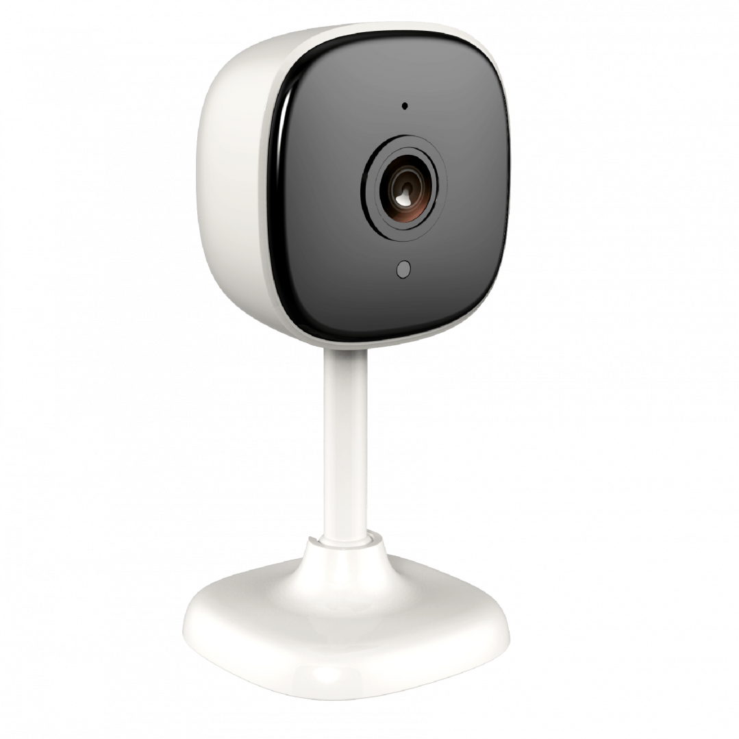CTV-HomeCam mini